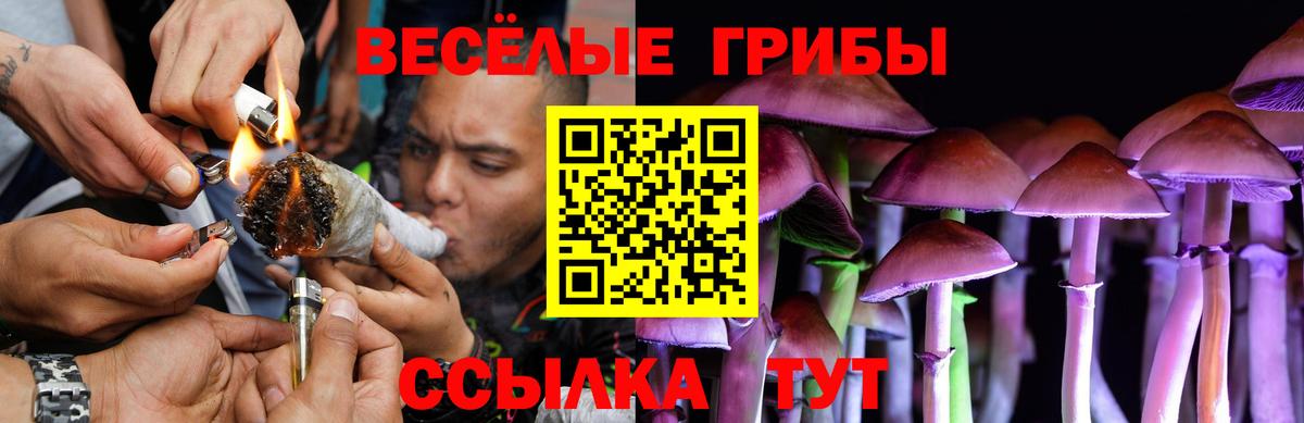 Псилоцибиновые грибы Cubensis Крымск