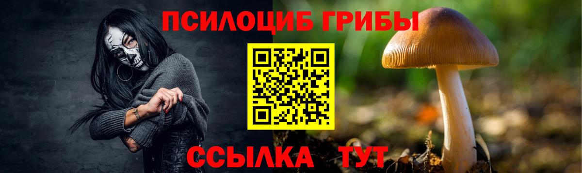 Галлюциногенные грибы Psilocybine cubensis  Вход с VPN  Крымск 